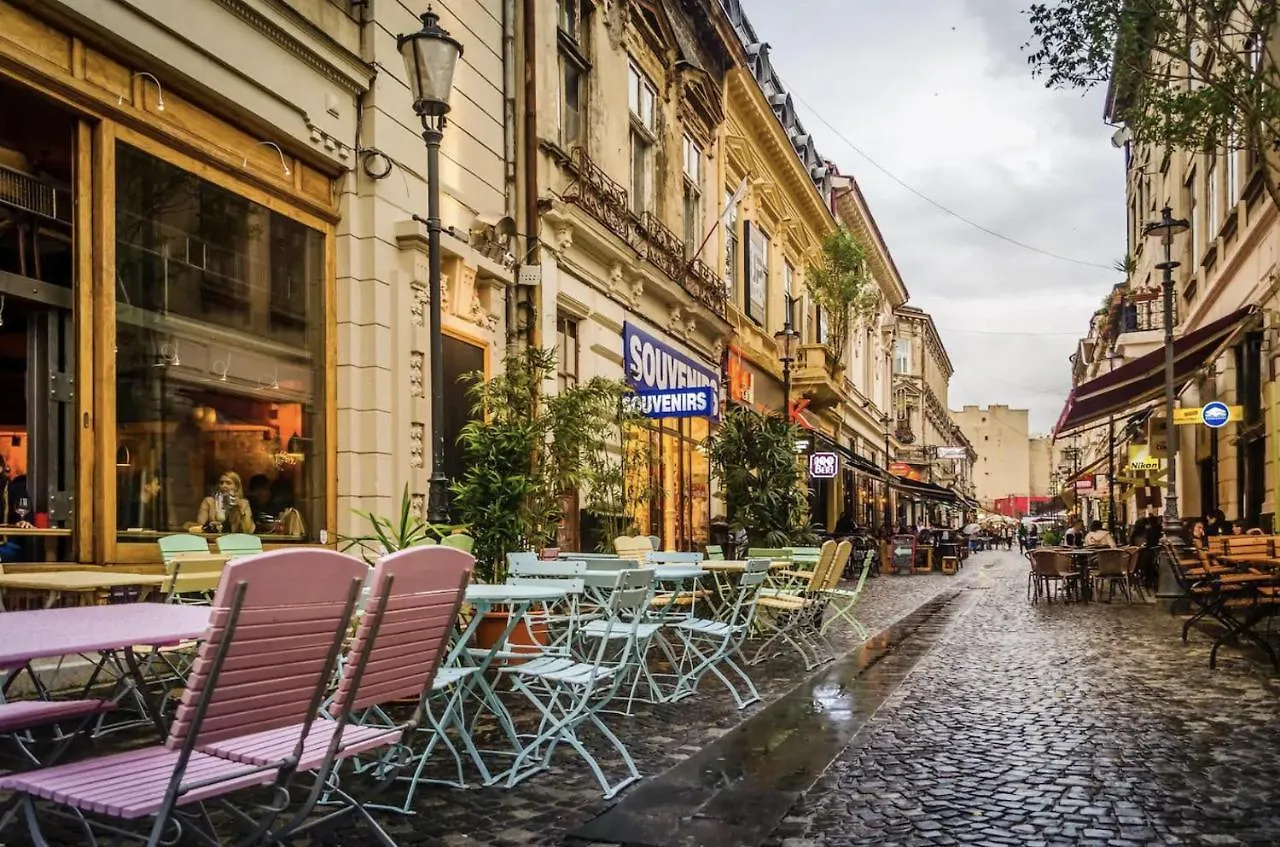 Apartment Plants Attic Studio - Best Location - Old Town Bucharest