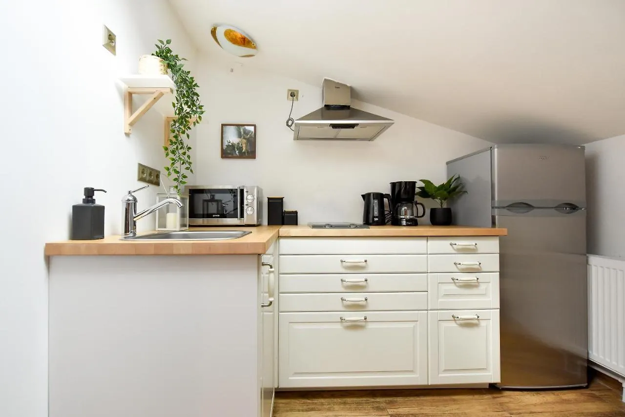 Plants Attic Studio - Best Location - Old Town Bucharest Apartment
