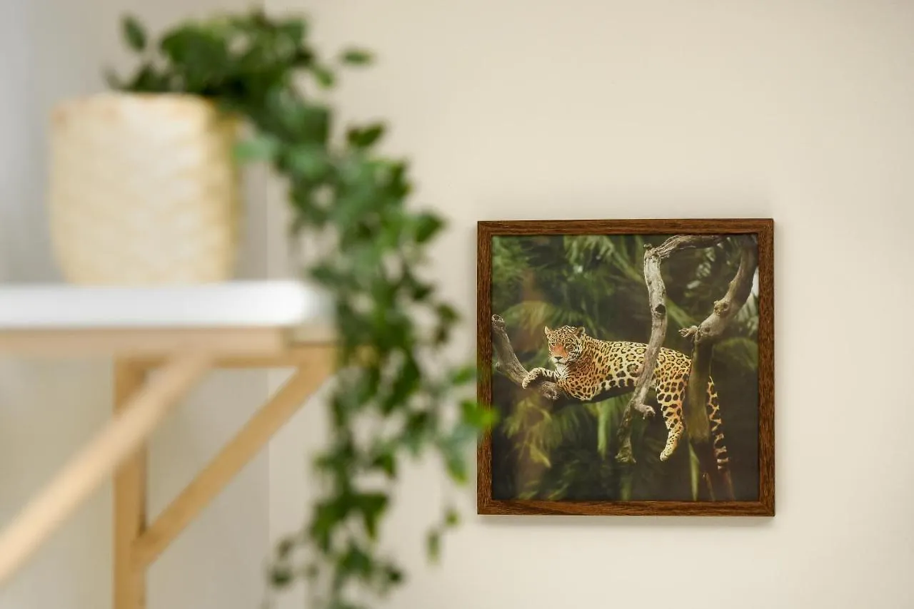 Apartment Plants Attic Studio - Best Location - Old Town Bucharest Romania