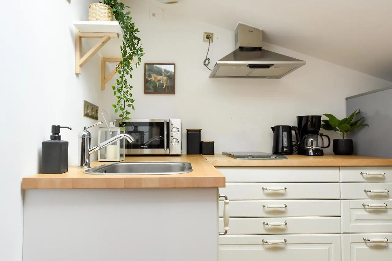 Apartment Plants Attic Studio - Best Location - Old Town Bucharest